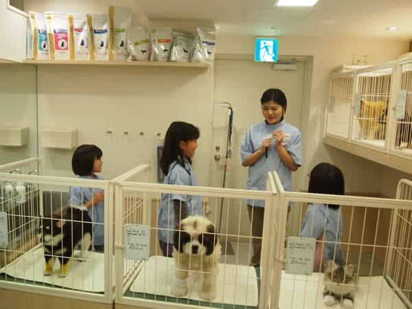 キッザニア東京 動物病院